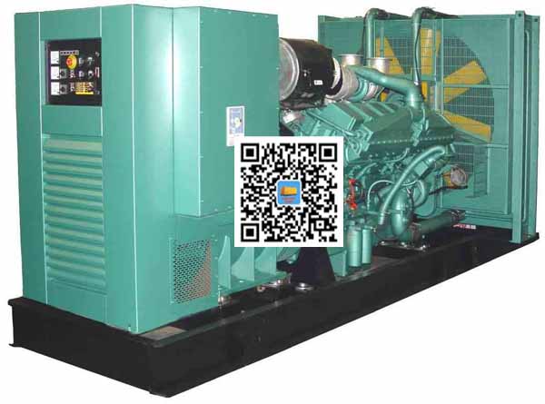 古蔺笼型异步发电机的电力电子控制技术